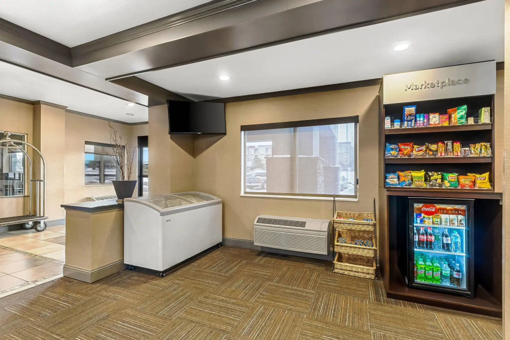 Comfort Suites Denver Tech Center - Général