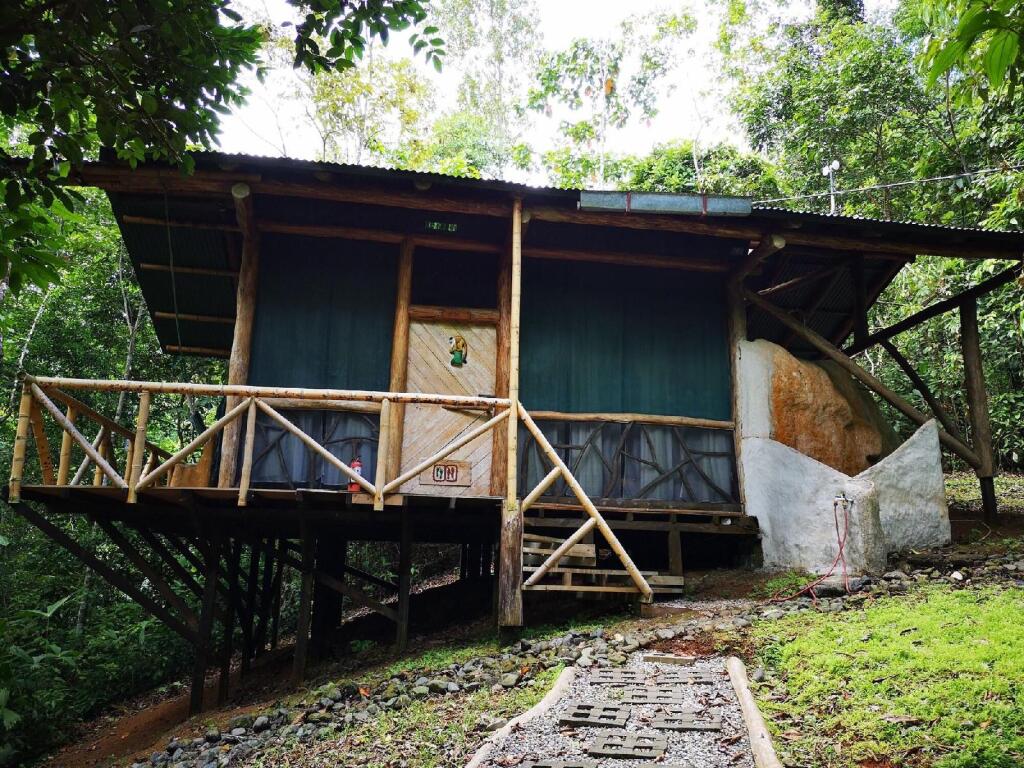 Danta Corcovado Lodge picture