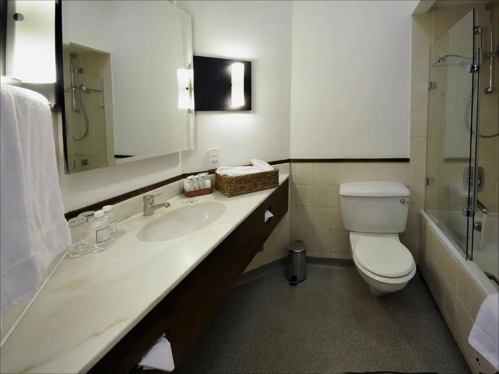 Standard Double room with lake view (full double bed)