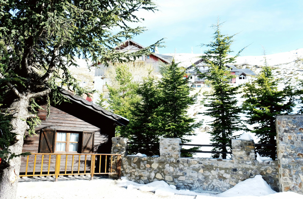 El Lodge Ski and Spa - Général