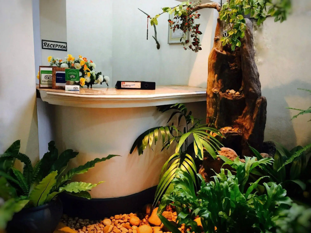 Hotel photo 11