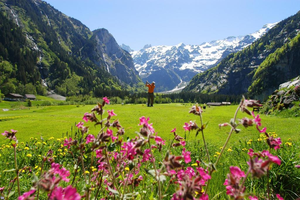 H+ Hotel & SPA Engelberg - Général