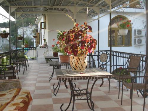 Гостиница Mini hotel "Saten" в Дагомысе