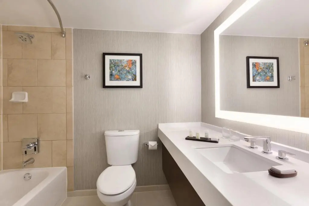 Embassy Suites by Hilton Chicago Lombard Oak Brook - Chambres