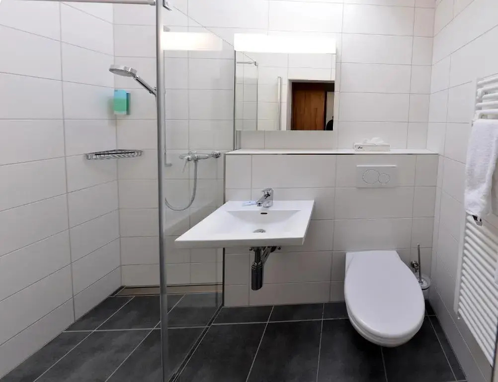 Standard Double room (full double bed)