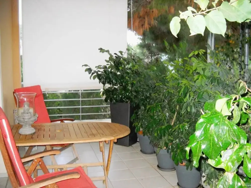 Quiet bright house next to the sea in Lagonisi