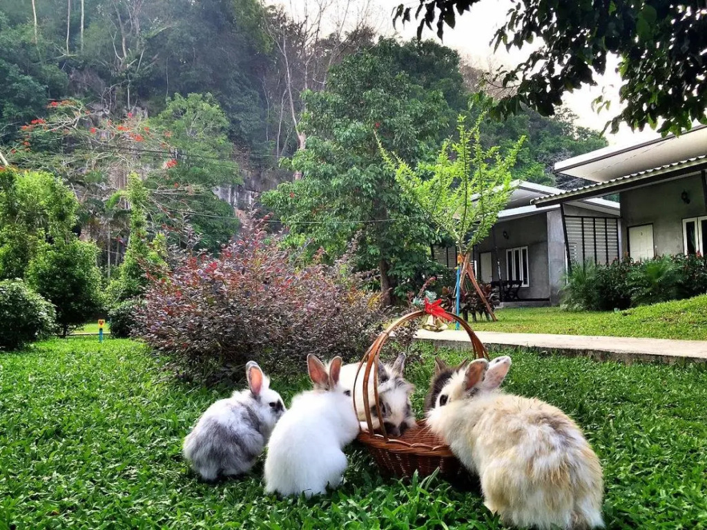 Deluxe Double room with mountain view full double bed