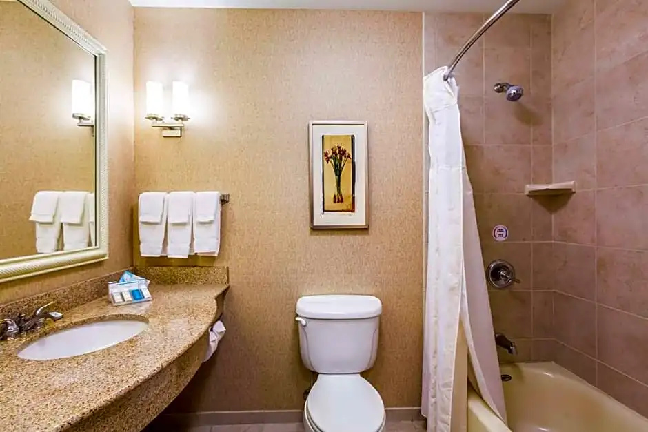 Hilton Garden Inn Milwaukee Northwest Conference Center - Chambres