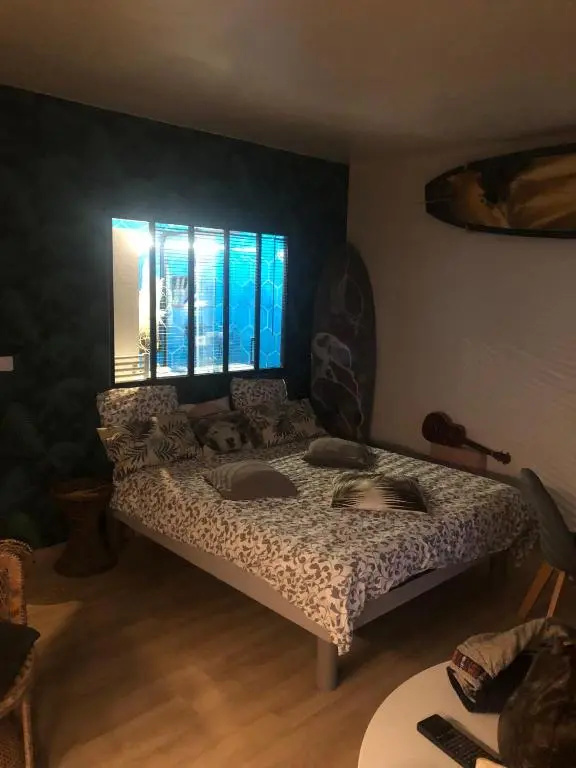 Voir la photo 1 — Studio sur la plage vue mer piscine Biarritz