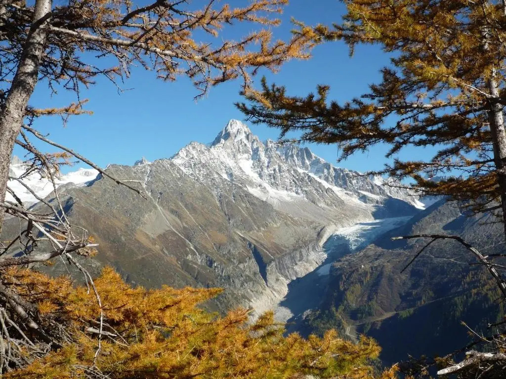 Studio Plein Sud. Vallée de Chamonix. Pieds de Pistes.