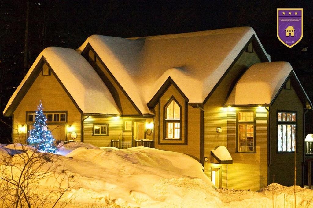 Chalets Alpins -41 Chemin des Skieurs