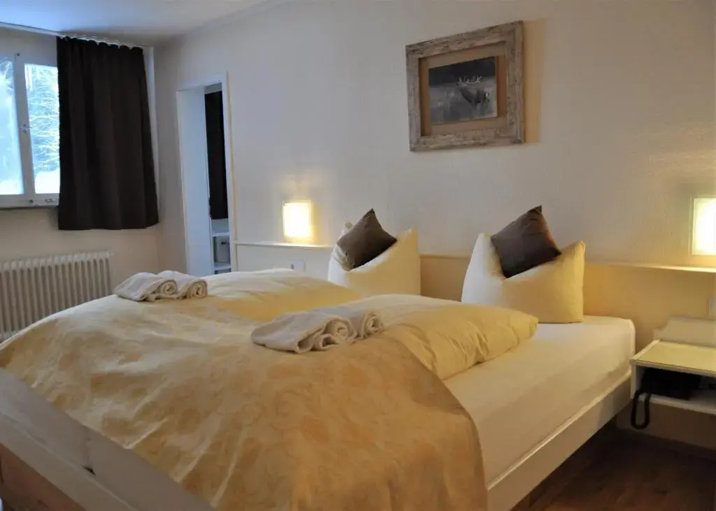 Standard Double room (full double bed)