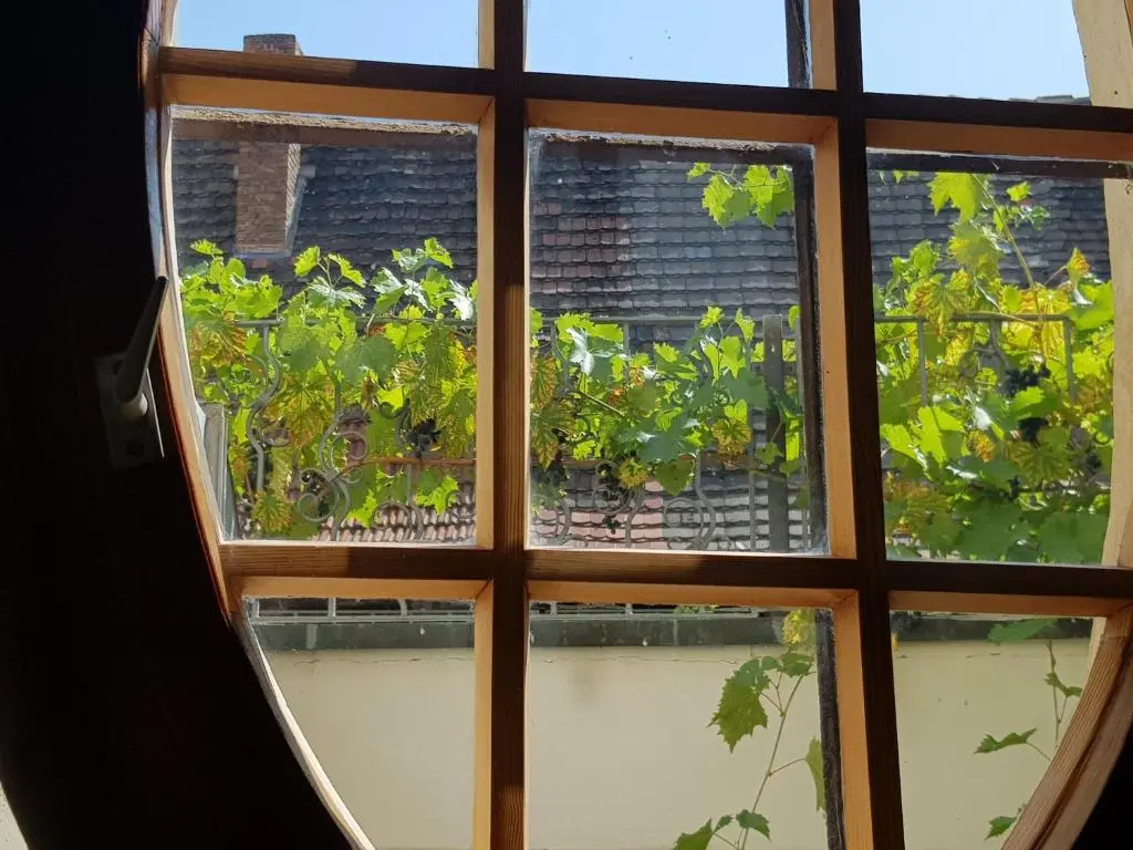 Balcony & Terrace