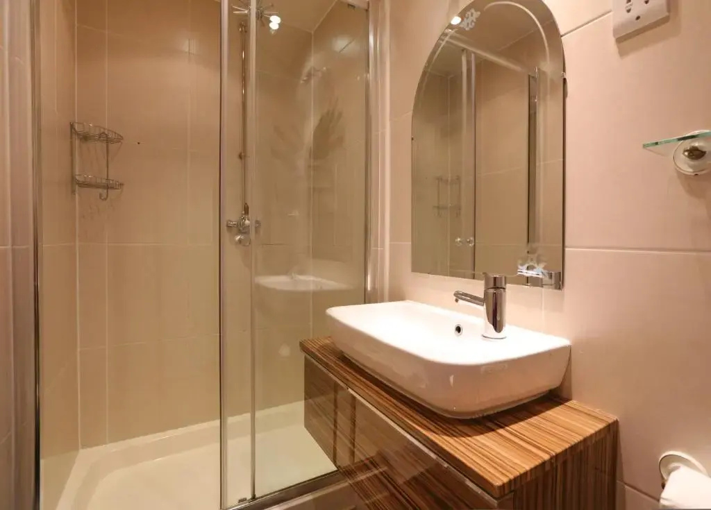 Standard Double room with mountain view (full double bed)