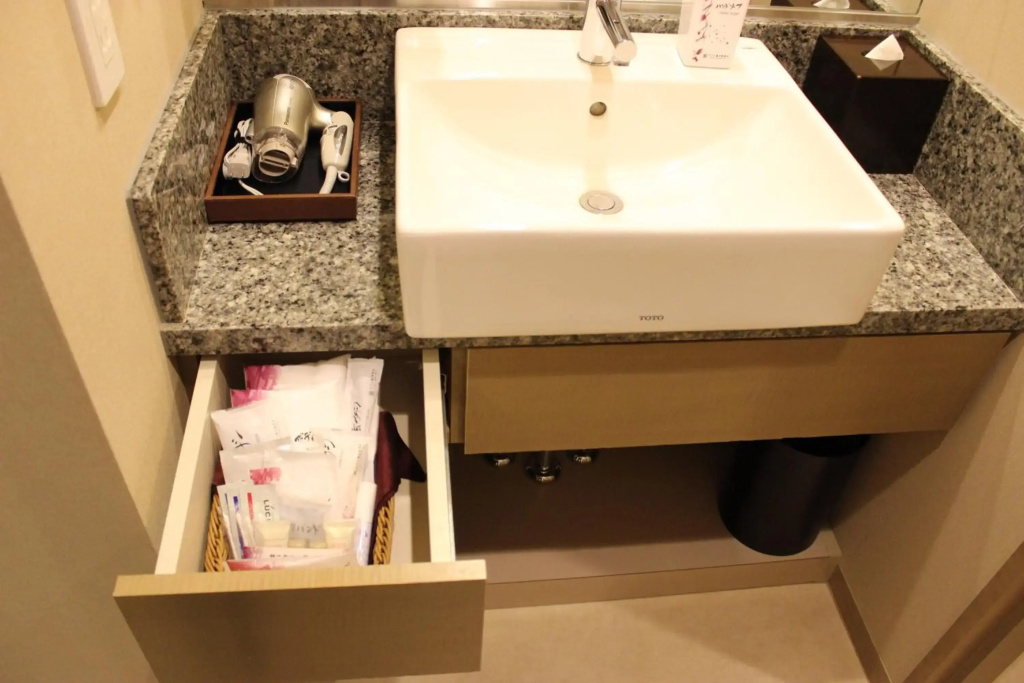 Hotel Ryumeikan Tokyo - Général