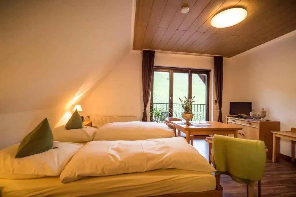 Apartment with mountain view