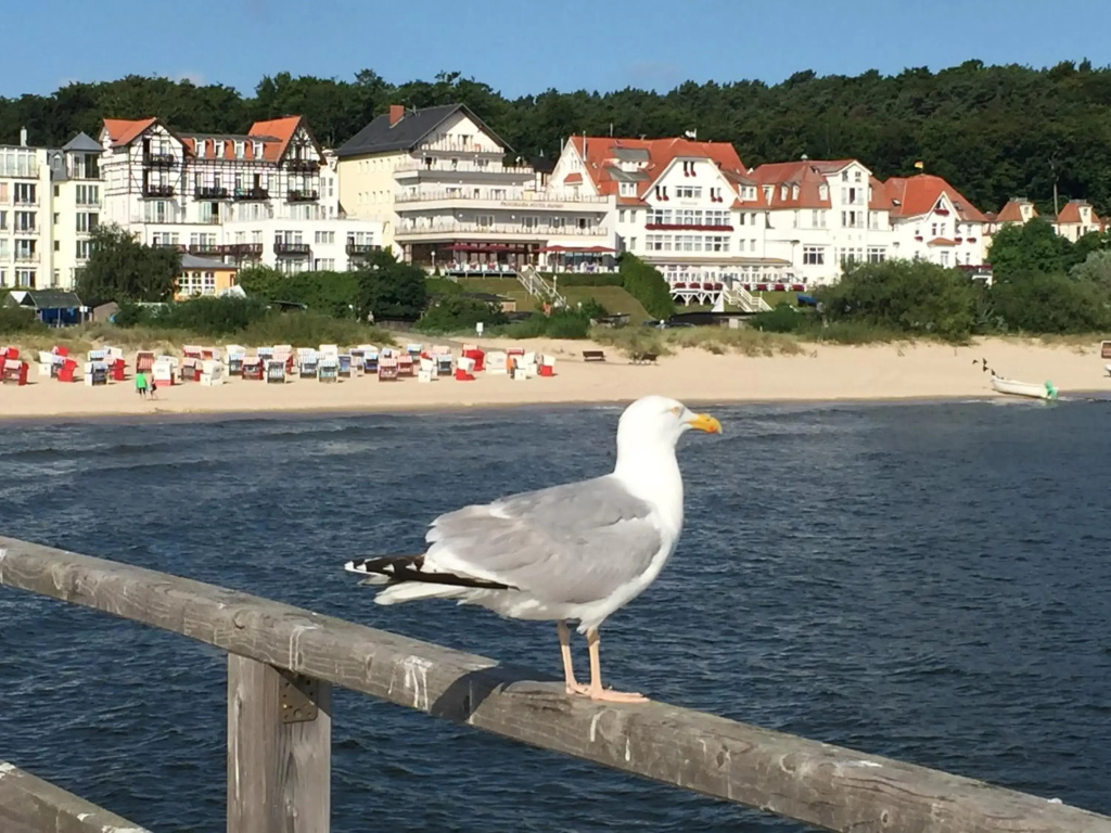 Panorama Hotel Bansin - Général