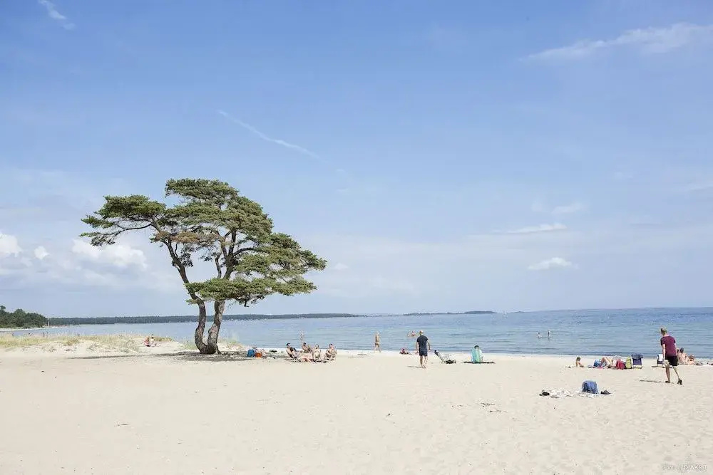 Beach & Waterfront