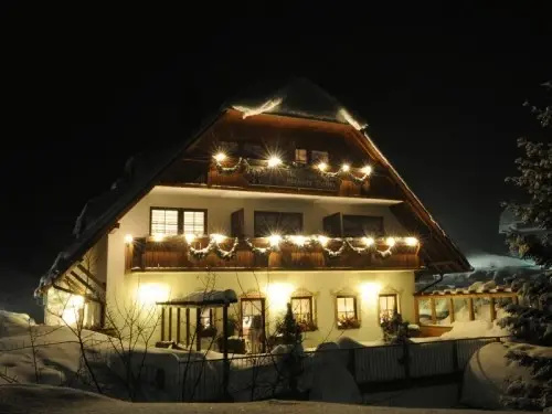 Hotel Höhengasthof Grüner Baum - Chambres