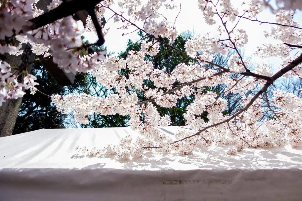 TORA HOTEL Tokyo-kitaueno 寅ホテル北上野 사진 12