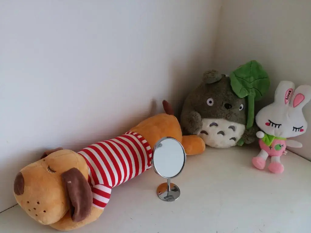 Bed in Dorm (female dorm)