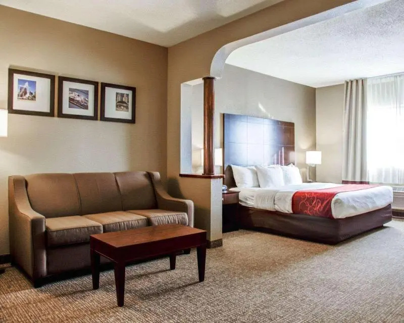 Comfort Suites Lombard - Addison - Chambres