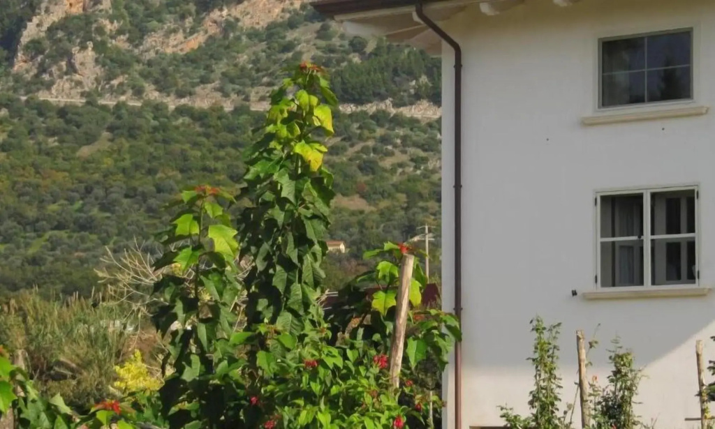 Bed and Breakfast Macchia d'Olmo