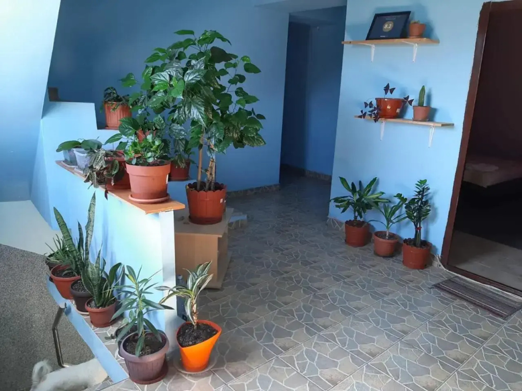 Casa Laura