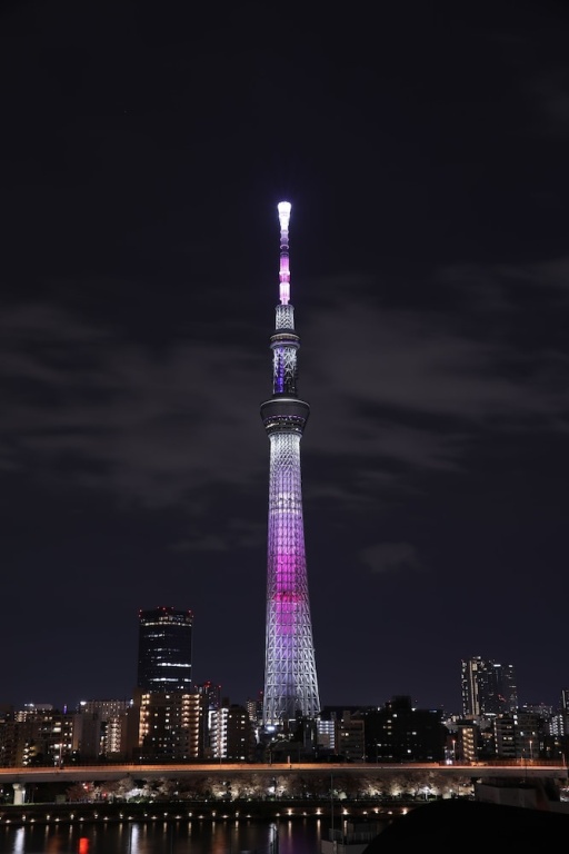 Cob Hotel Asakusa 사진 13