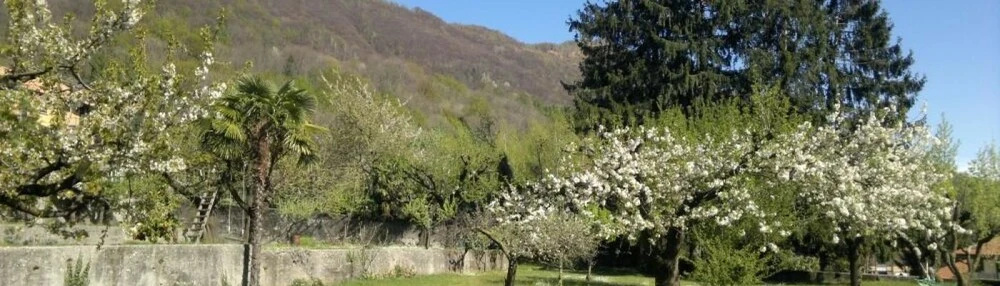 B&B Le Oche di Bracchio - фото 12