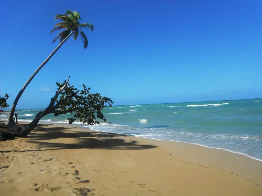 Hotel Punta Bonita - Général