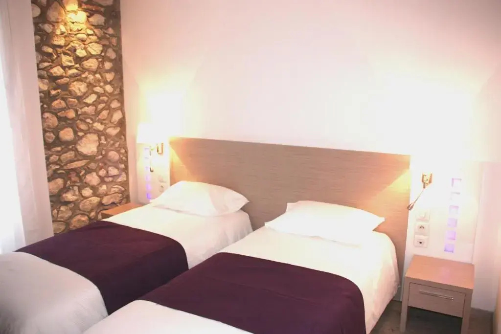 Standard Double room (twin beds)