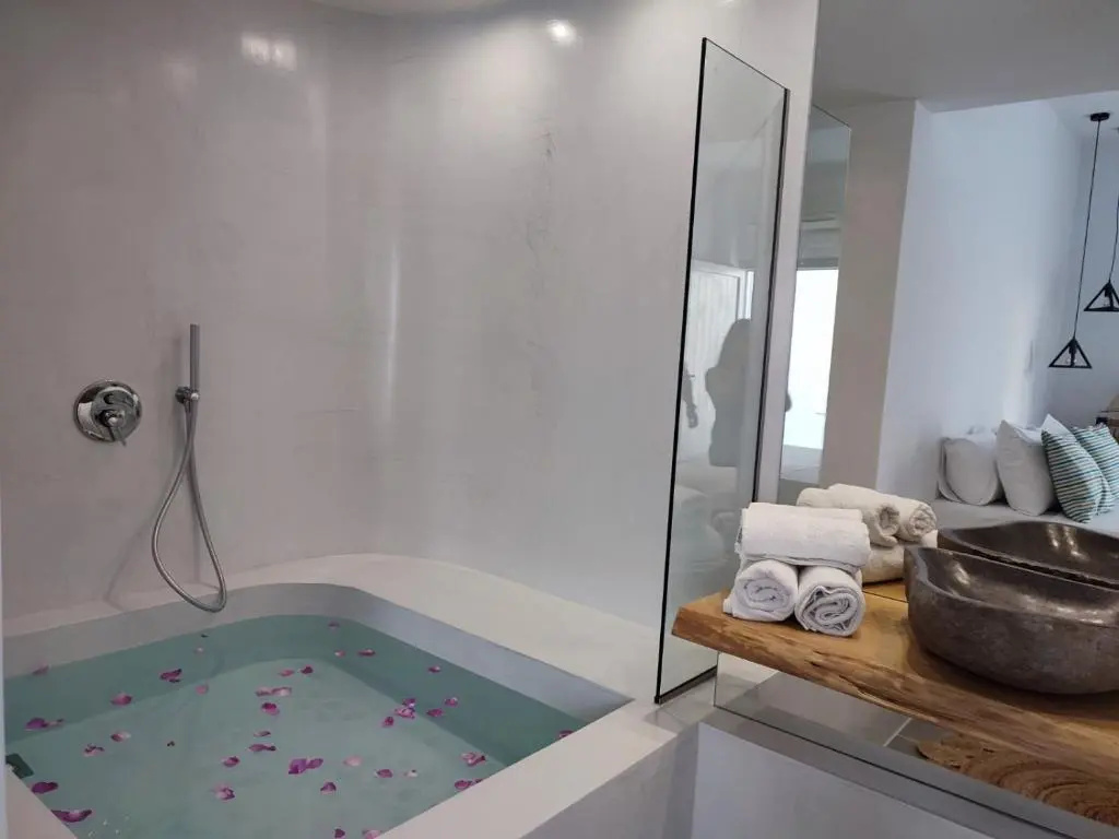 Deluxe Double room (full double bed)