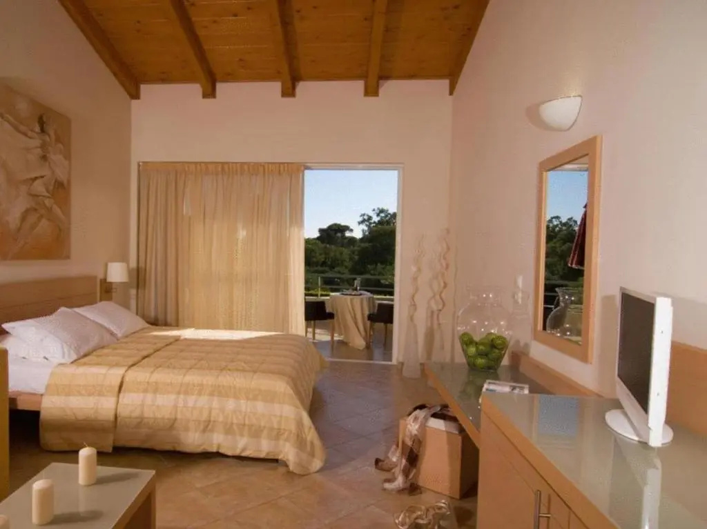 Standard Single room with land view