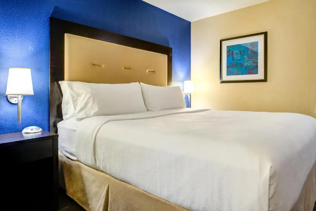 Holiday Inn Indianapolis Carmel by IHG - Chambres