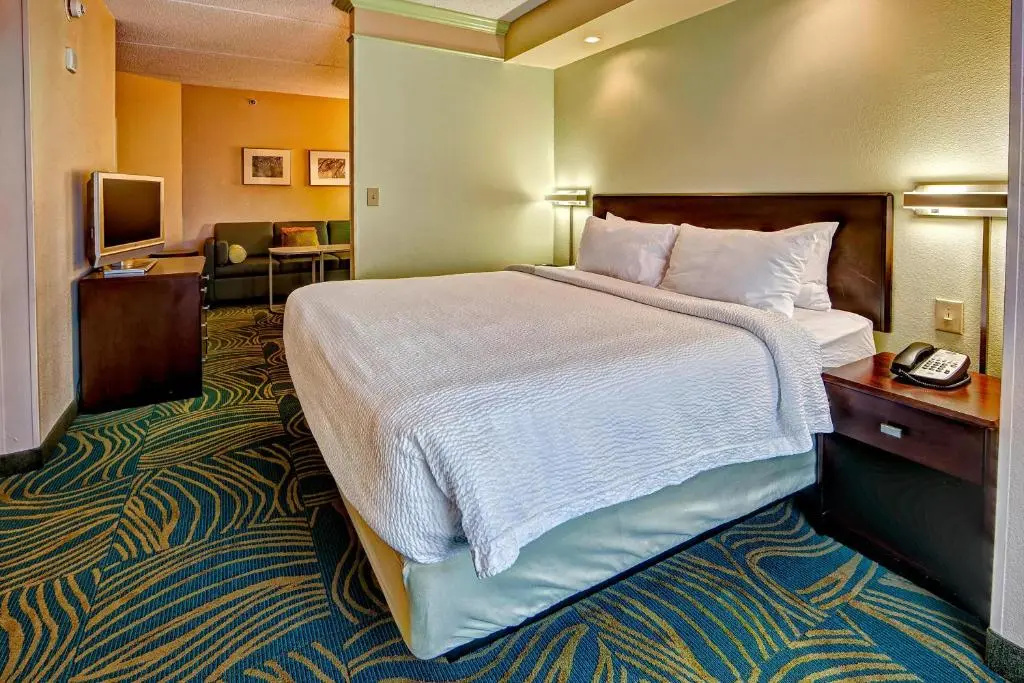 SpringHill Suites Marriott Norfolk Old Dominion University - Chambres