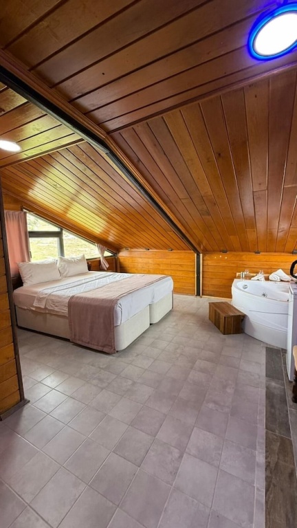 Standard Double room with mountain view (full double bed)