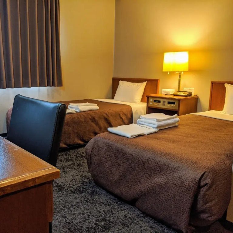 Standard Double room with city view (twin beds)