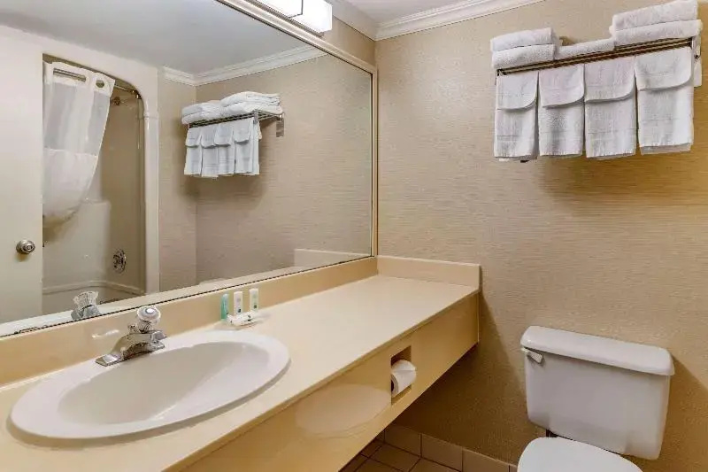 Quality Inn & Suites Garden of the Gulf - Chambres