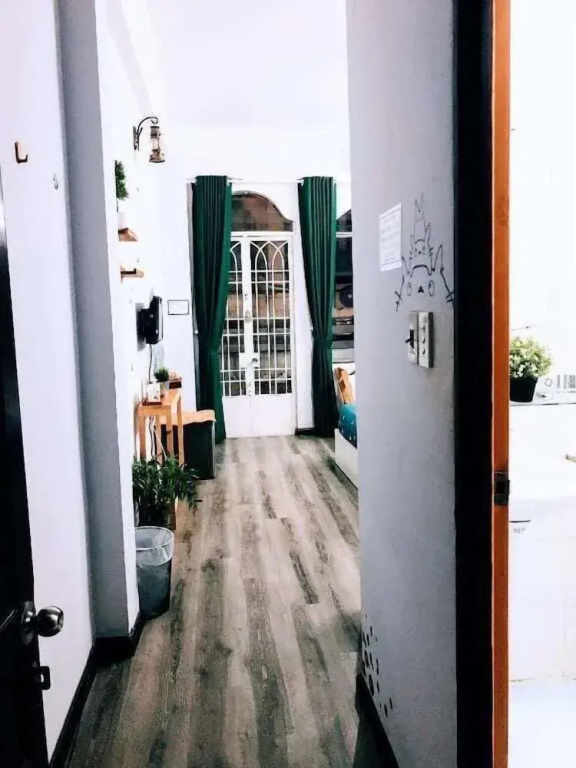 The Art - The Buddy's House