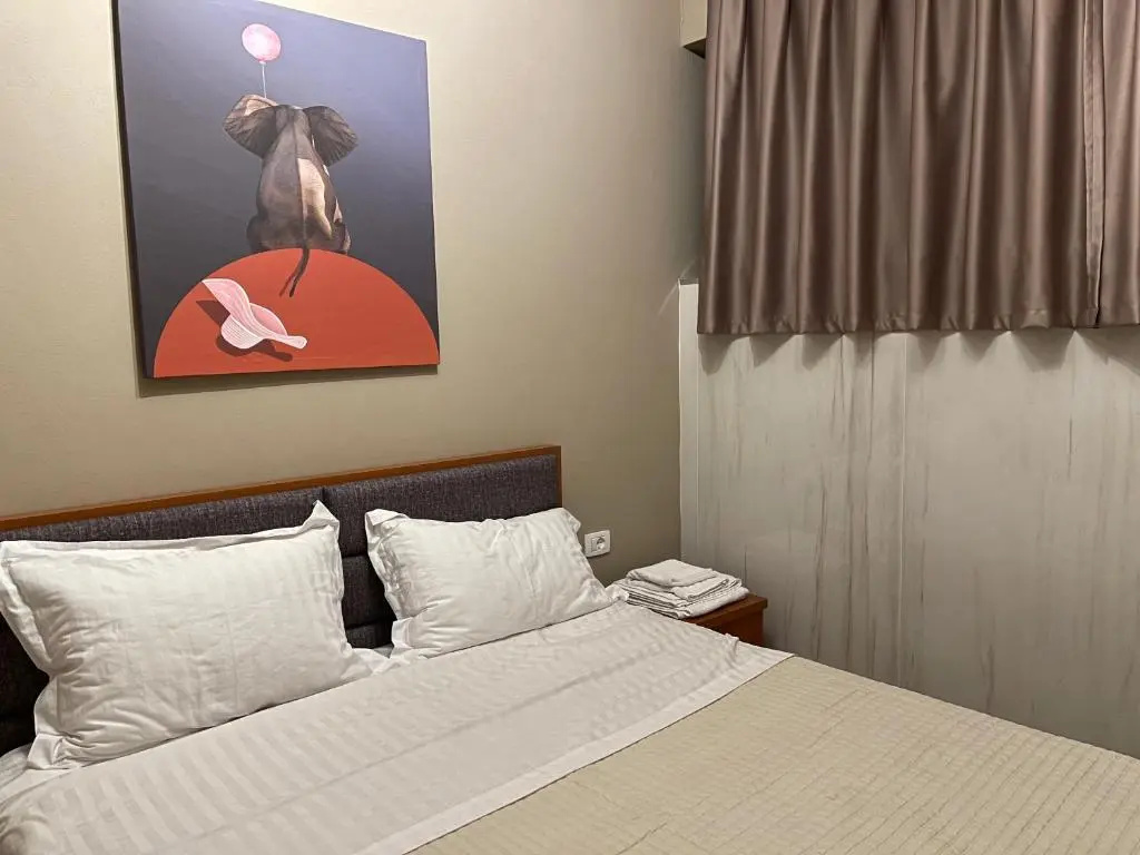 Standard Double room (full double bed)