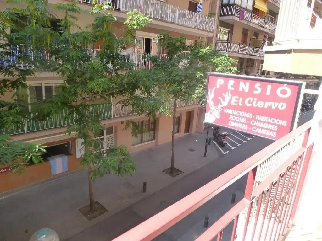 Pension El Ciervo by null