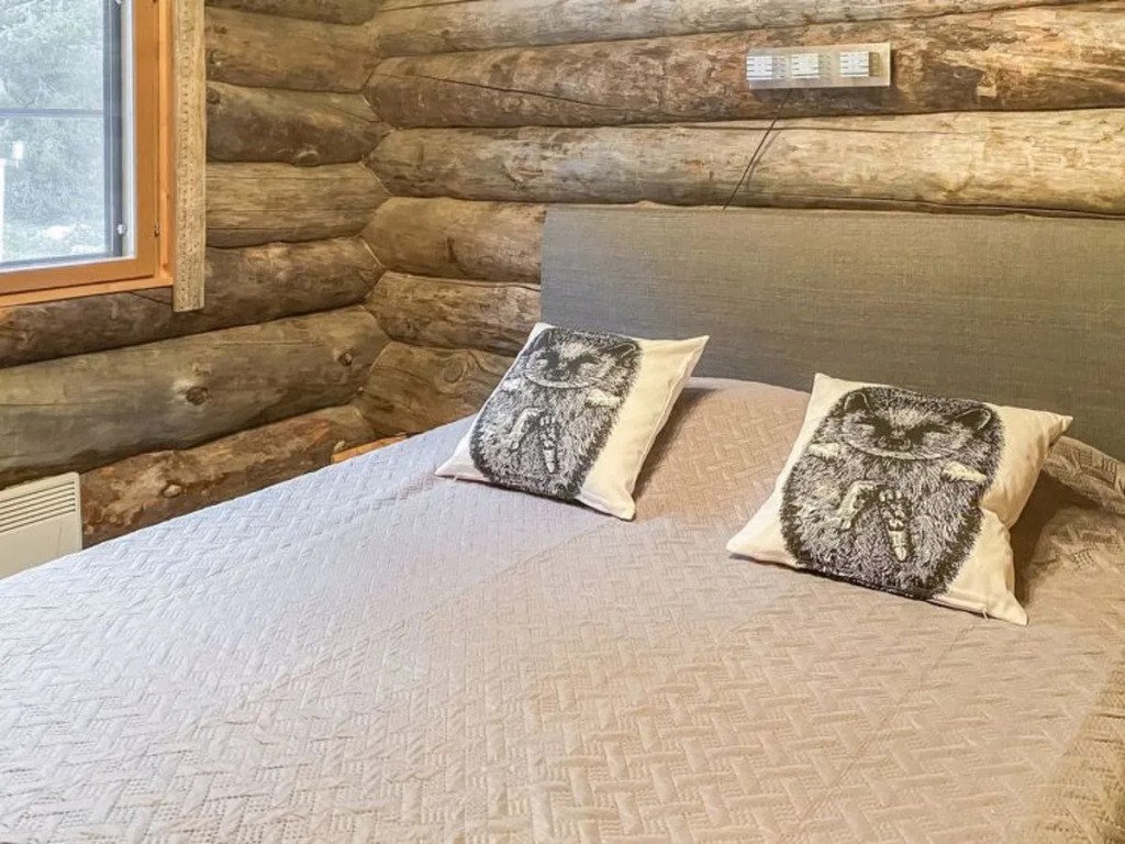 Muuttohaukka — фото 5