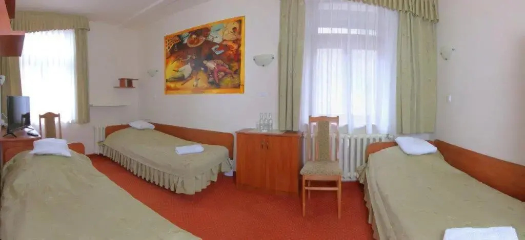 Art Nikifor Hotel - Chambres