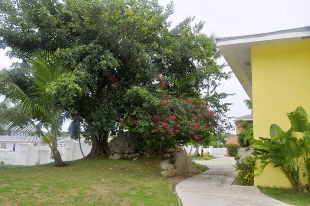 Abaco Getaway by Living Easy Abaco