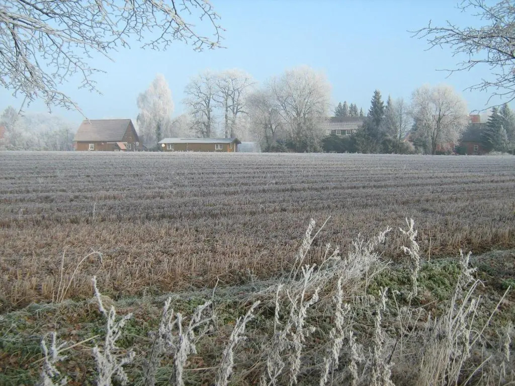 Spargelhof King