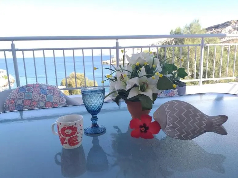Alexandra`s House