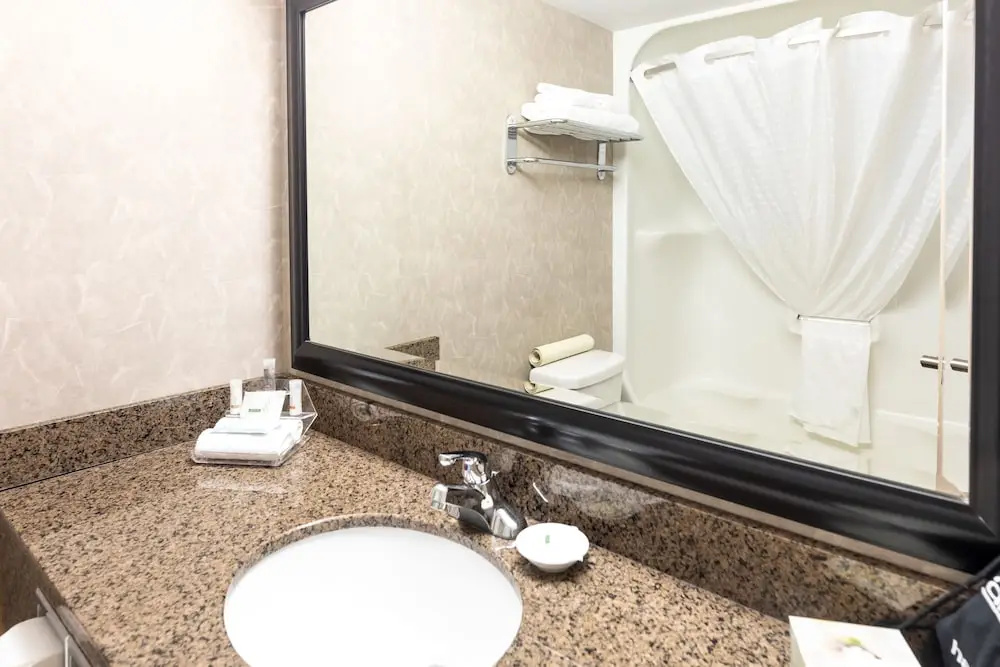 Royal Hotel West Edmonton, Trademark Collection by Wyndham - Chambres