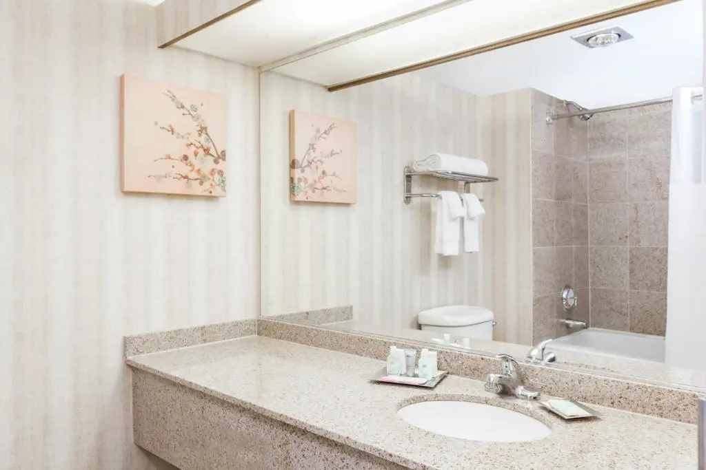 Wyndham Indianapolis Airport - Chambres