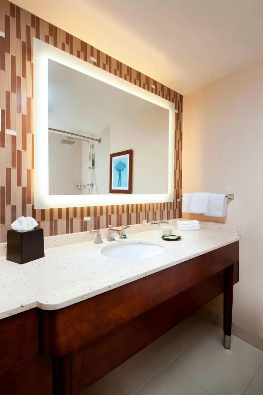 Deluxe Double room with city view (full double bed)